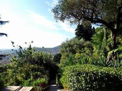 183 HYERES ET SES PALMIERS D01_000041